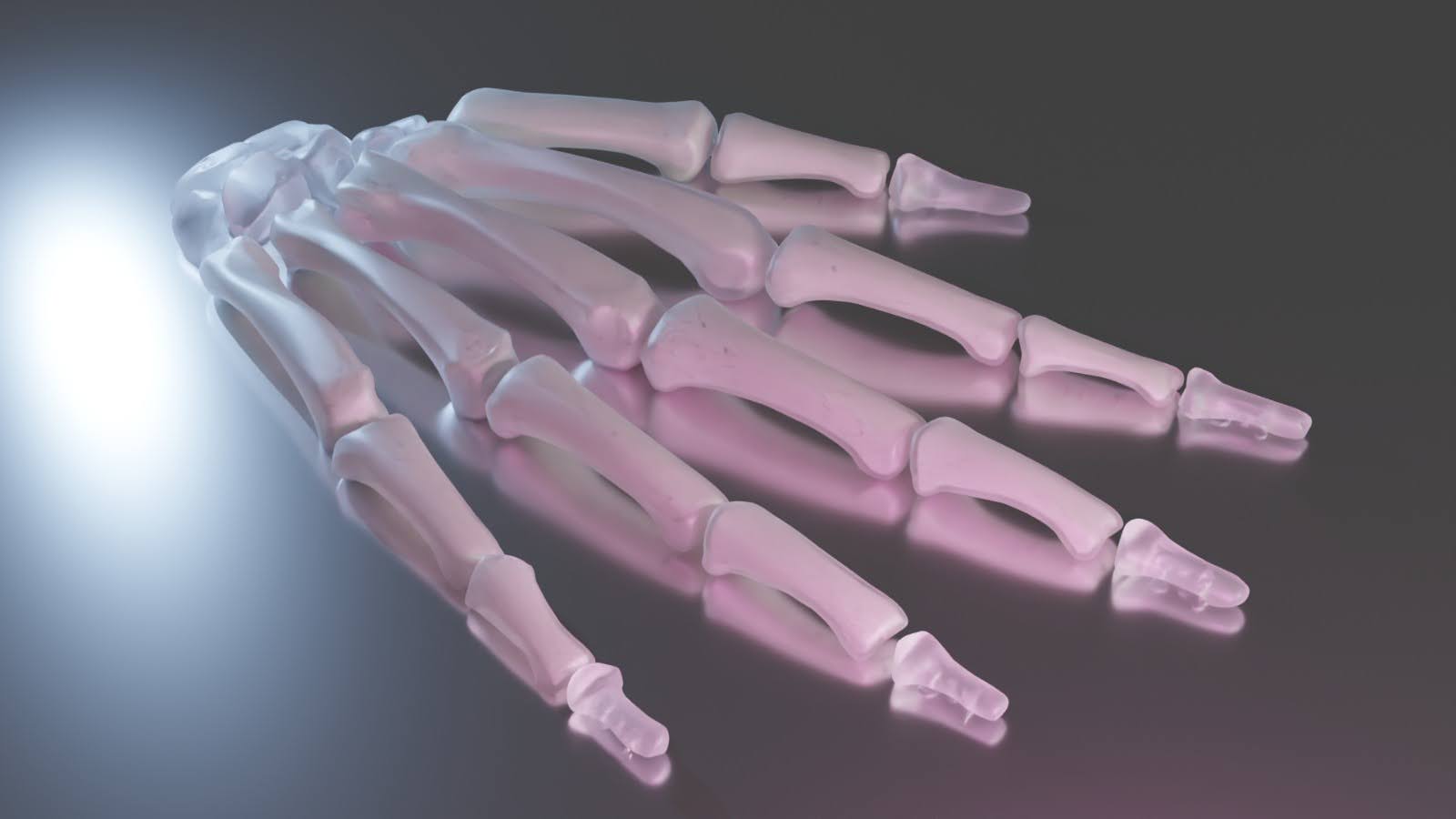 Full hand model